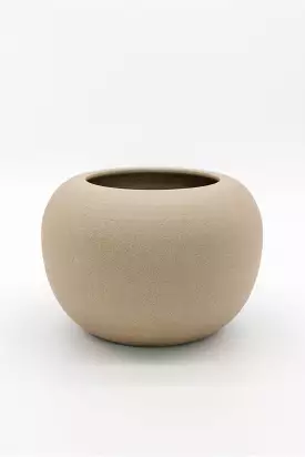 Alex Pot