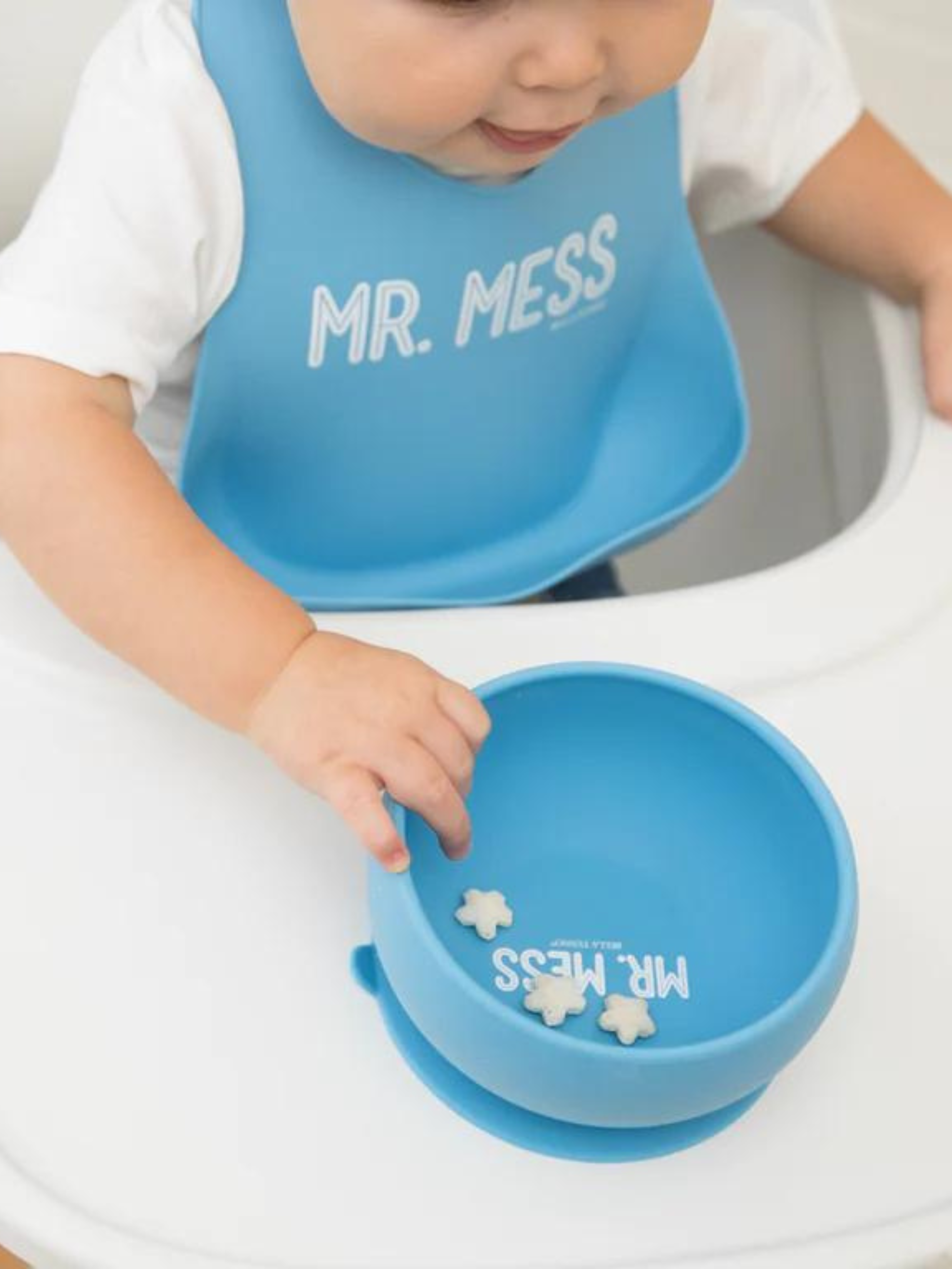 Mr Mess Suction Bowl