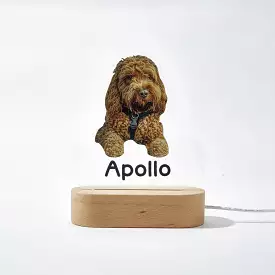 Personalized Pet Shaped LED Night Light Custom Dog Name Table Lamp