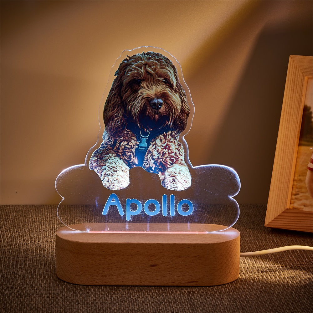 Personalized Pet Shaped LED Night Light Custom Dog Name Table Lamp