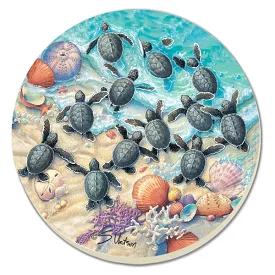 Turtle Hatchlings Coaster Set