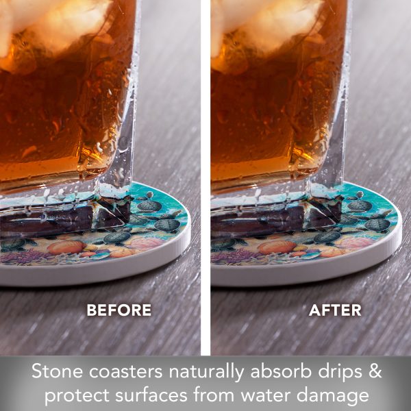 Turtle Hatchlings Coaster Set